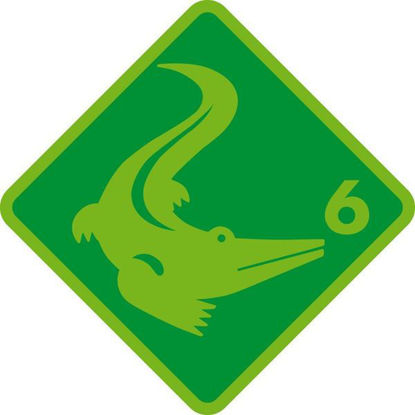 Image de Cours pour enfants crocodile